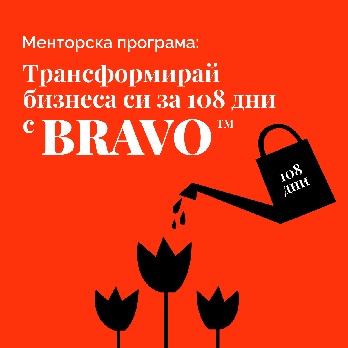 BRAVO-mentorship-program_2025
